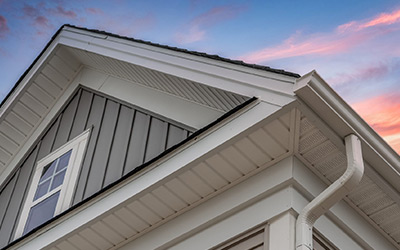 Unveiling the Importance and Functionality of Fascia: A Comprehensive Guide