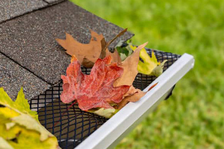 Why Leaf Guards Are Essential for Homes Surrounded by Trees